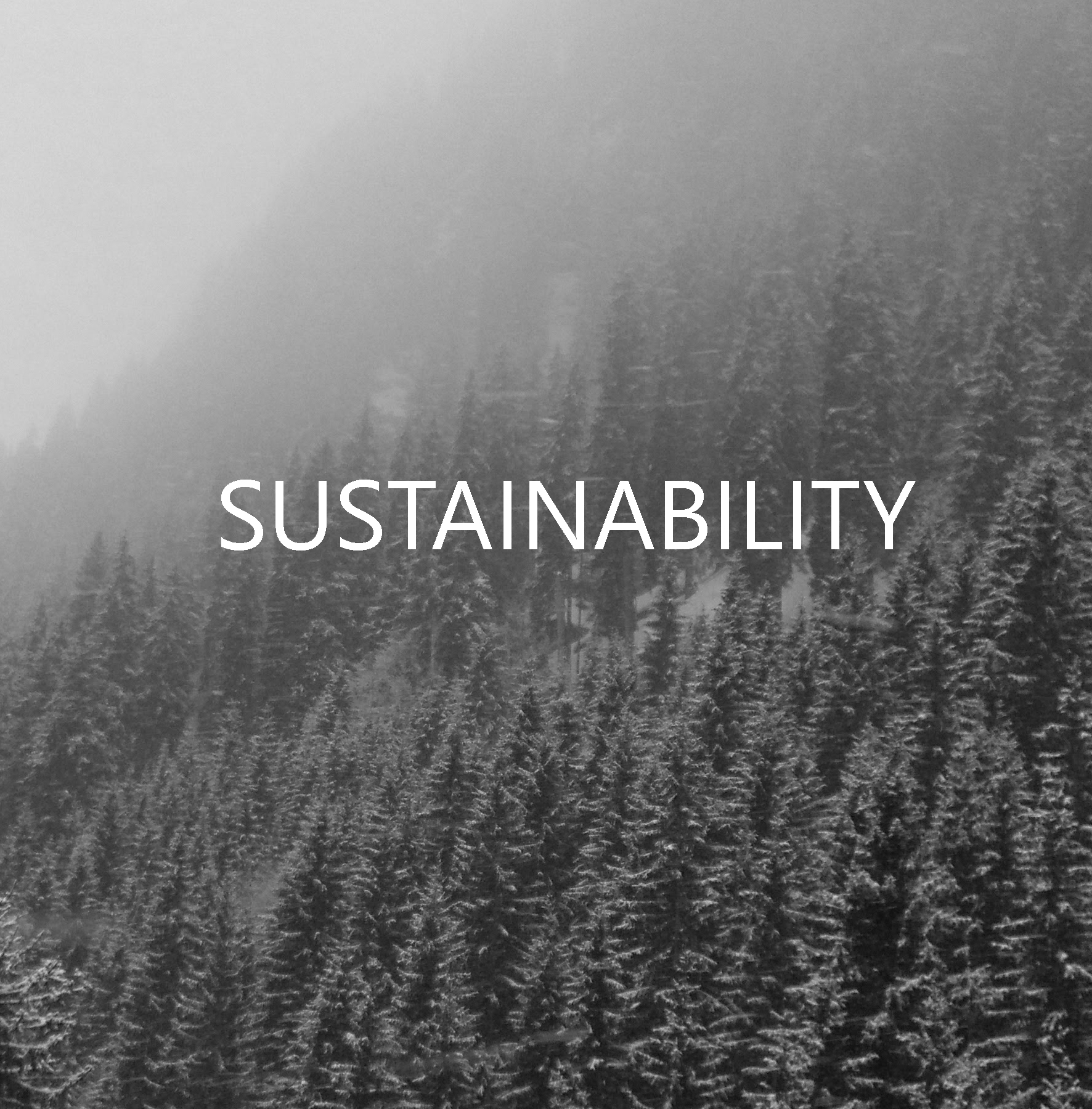 SUPERYELLOW Sustainability